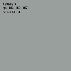 #999F9D - Star Dust Color Image